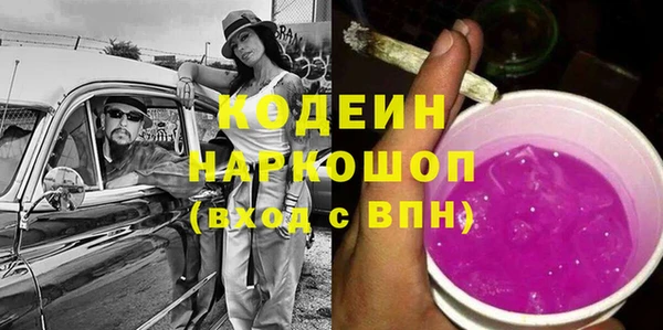 молекула духа Заводоуковск