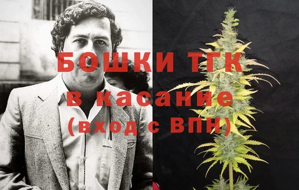 молекула духа Заводоуковск