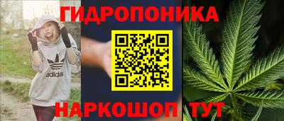 гидра Донецк