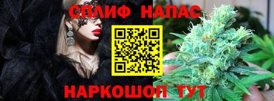 винт Донской