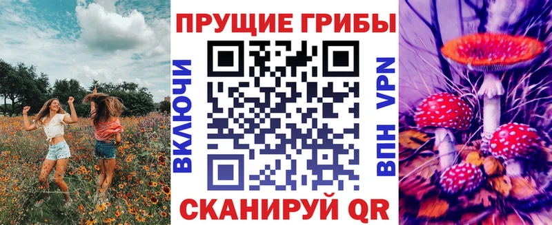 Псилоцибиновые грибы Psilocybine cubensis  Первоуральск 