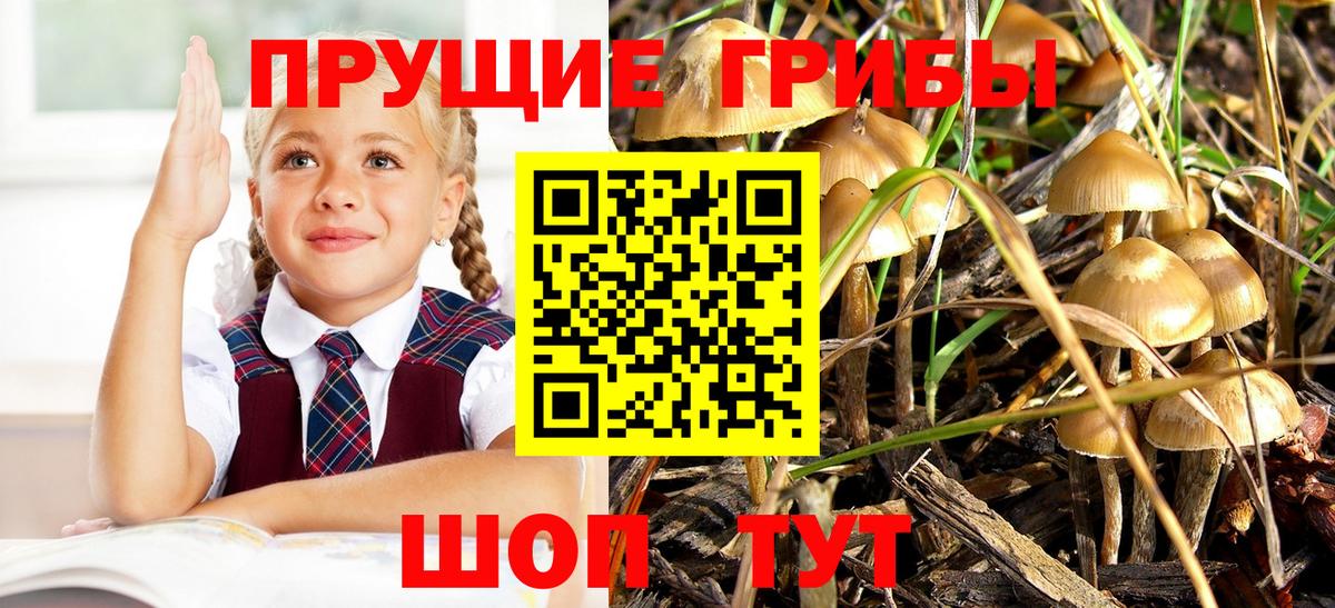 Галлюциногенные грибы MAGIC MUSHROOMS Первоуральск