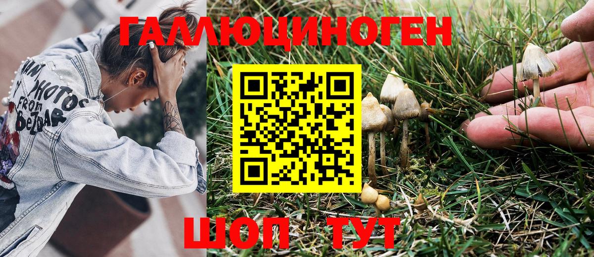 Первоуральск  Псилоцибиновые грибы Cubensis  цены наркотик  Вход с VPN 